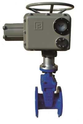 Задвижка с обрезиненным клином фланцевая ABRA с электроприводом Regada В Челябинске